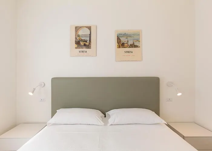 Max 14 * ستريزا